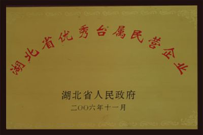 湖北省優(yōu)秀臺屬民營(yíng)企業(yè)